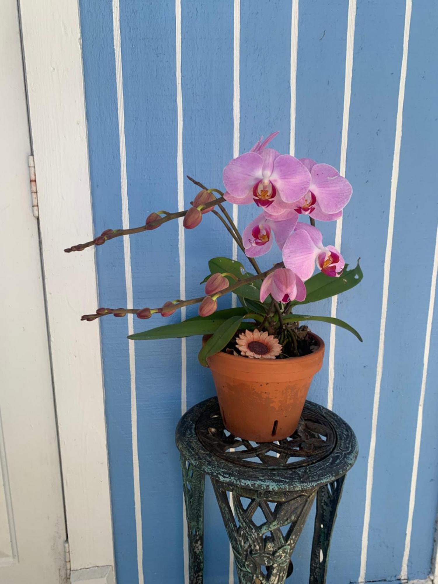 Mini Studio: 10 Min/Siesta Key/Private Entrance/ 사라소타 외부 사진